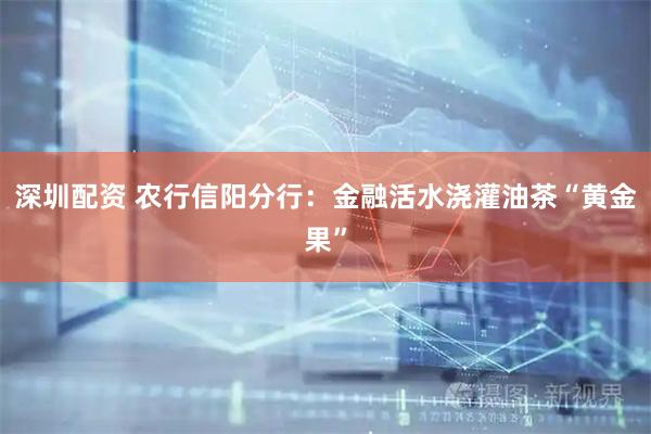 深圳配资 农行信阳分行：金融活水浇灌油茶“黄金果”