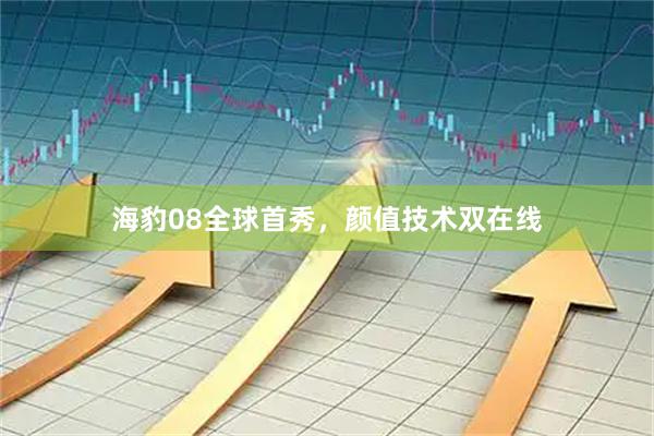 海豹08全球首秀，颜值技术双在线