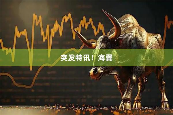 突发特讯！海翼