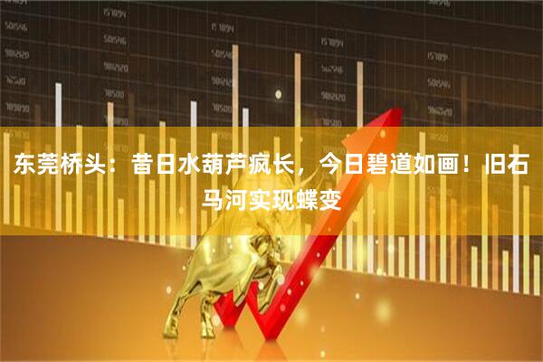 东莞桥头：昔日水葫芦疯长，今日碧道如画！旧石马河实现蝶变
