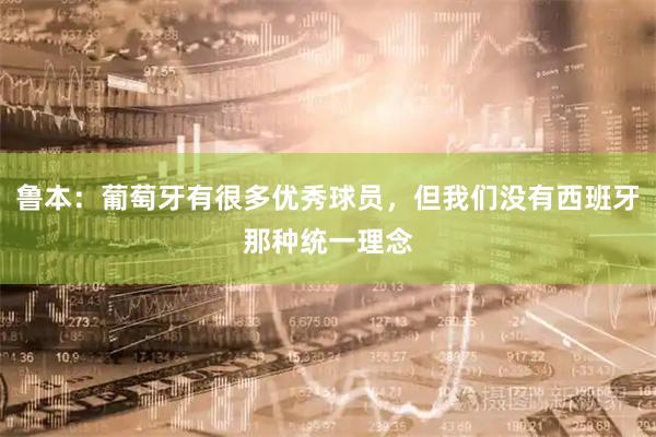 鲁本：葡萄牙有很多优秀球员，但我们没有西班牙那种统一理念