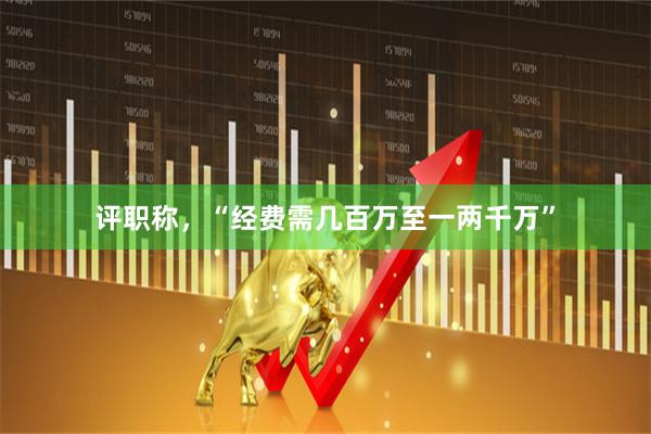 评职称，“经费需几百万至一两千万”