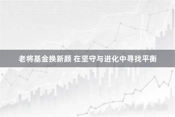 老将基金换新颜 在坚守与进化中寻找平衡