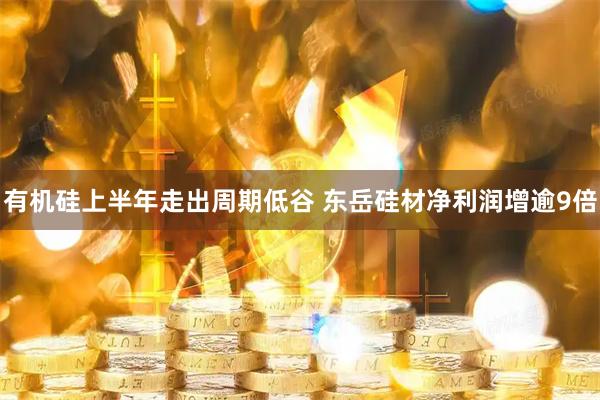 有机硅上半年走出周期低谷 东岳硅材净利润增逾9倍